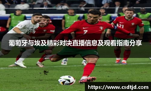 U8国际平台