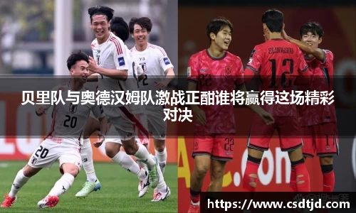 U8国际平台